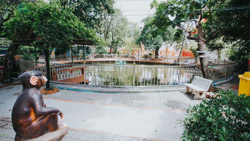 วกพ01 (25 of 50)