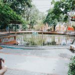 วกพ01 (25 of 50)