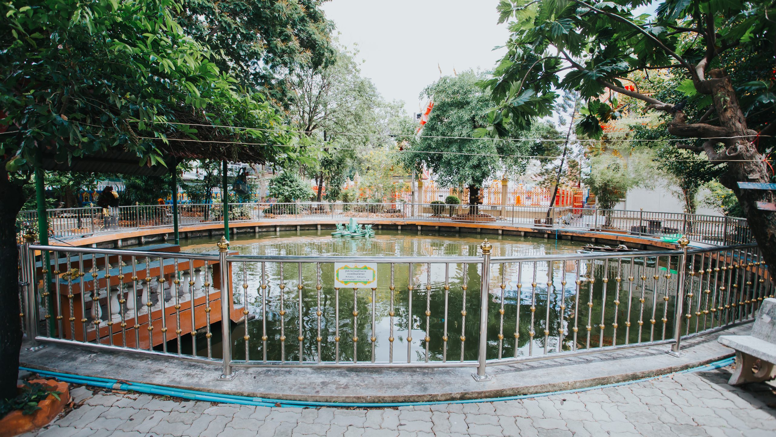 วกพ01 (26 of 50)