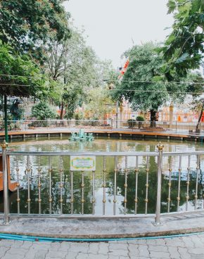 วกพ01 (26 of 50)